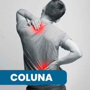 coluna.png
